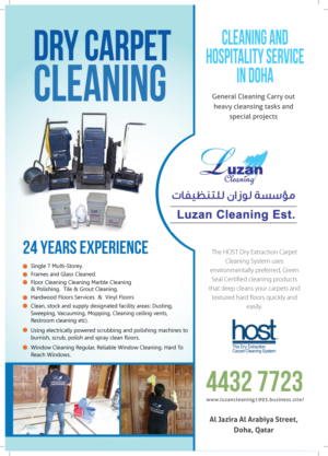 Luzan Cleaning Company Flyer  | Flyer Design by meet007