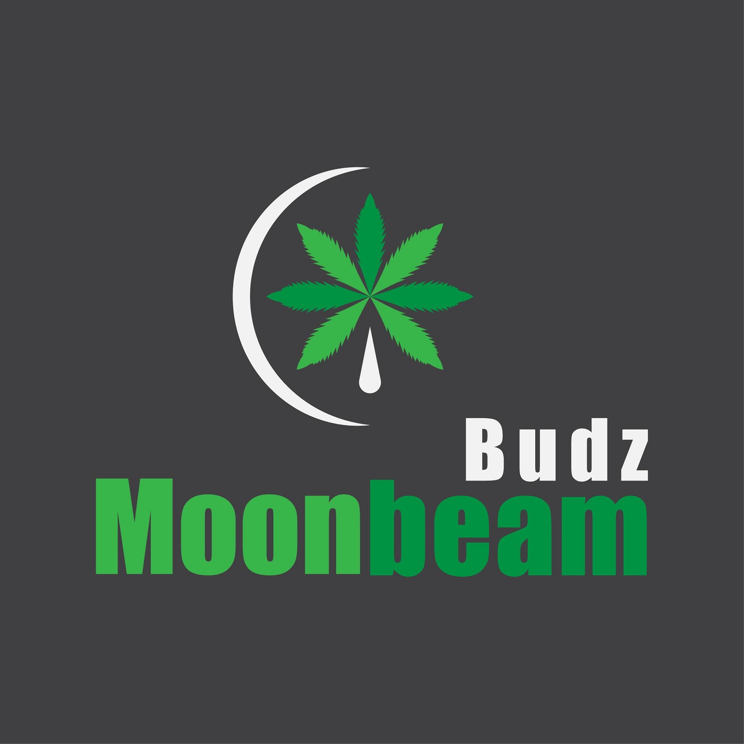 Logo Design by Mobarock Hosain for this project | Design #20744946