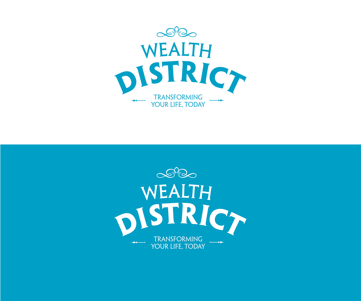 Logo Design by Zima Studios for Creative Financial Solutions | Design #20759889