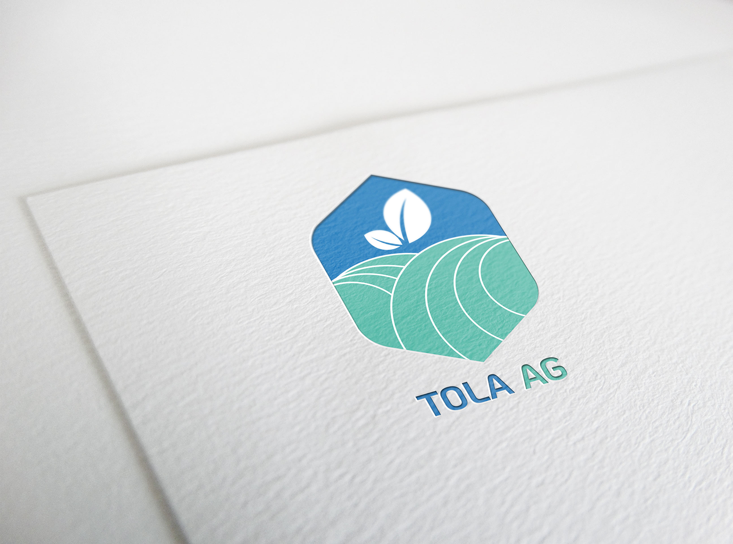 Diseño de Logo por Expecto.io para Tola Ag | Diseño #20755108