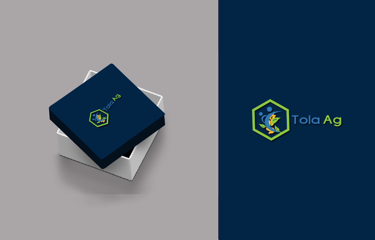 Logo-Design von Crescent Touch für Tola Ag | Design #20729109