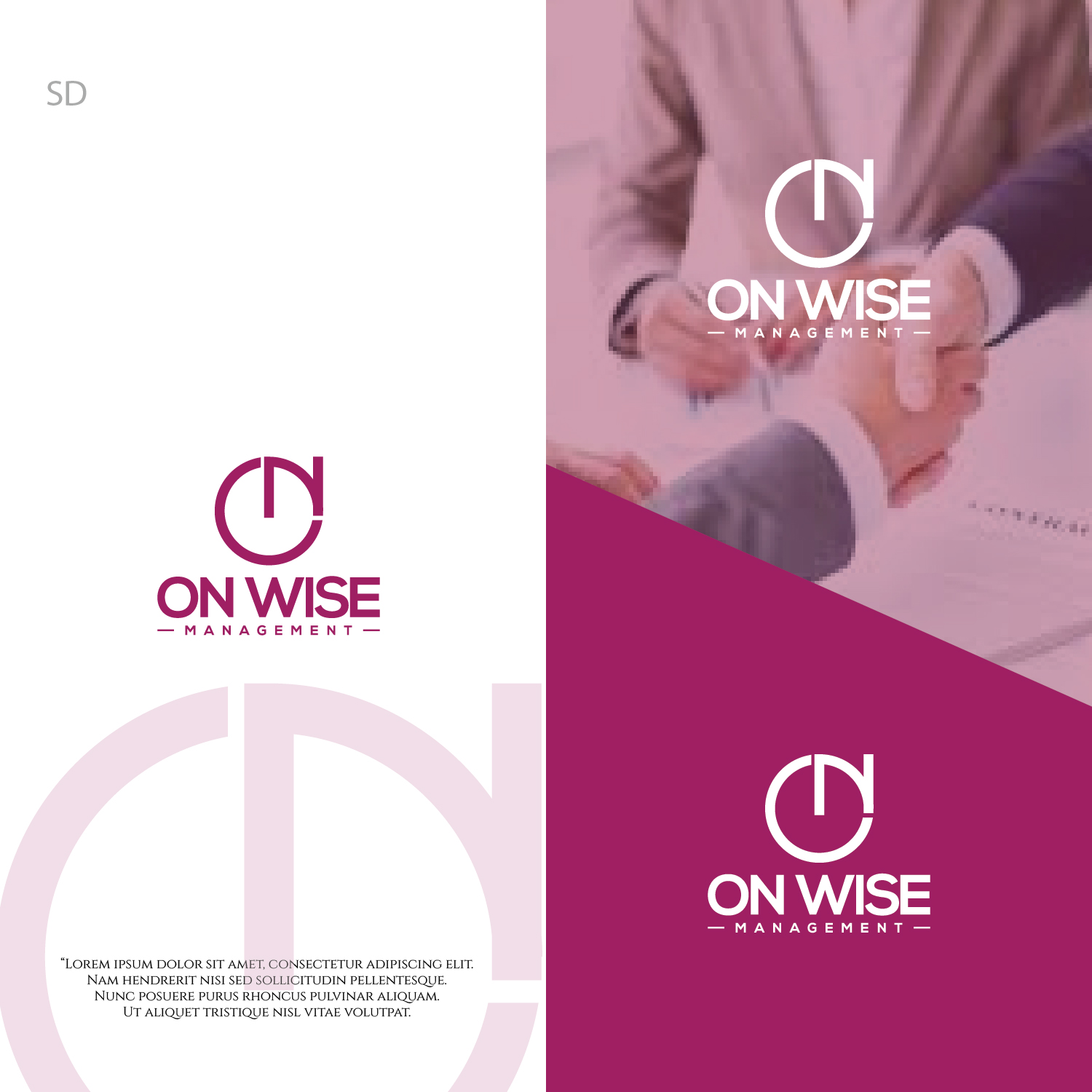 Design de Logo par Esolbiz pour On Wise Management Company Limited | Design : #20764373