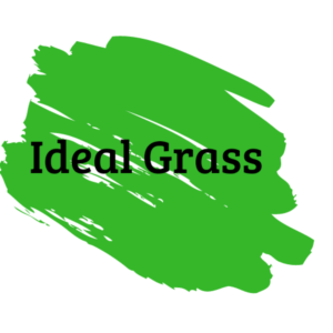 Logo Design by F12