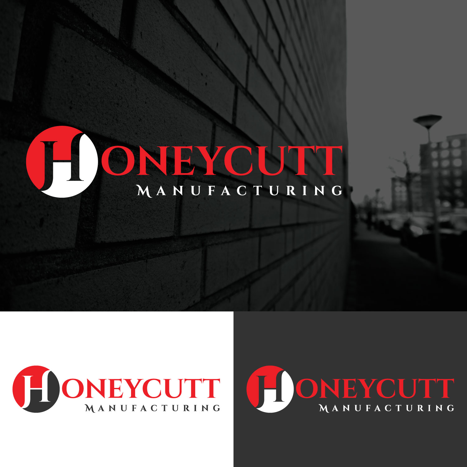 Logo Design by Tonmoyy for this project | Design #20741771