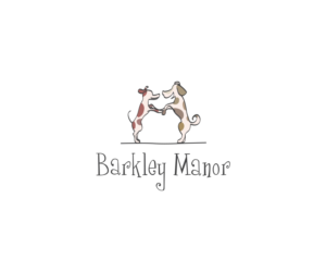 Logo Design by senja