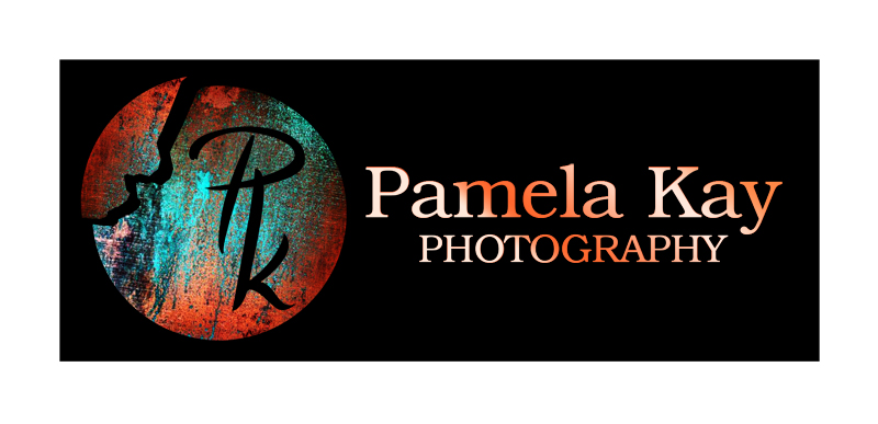 Logo-Design von DestinedDesigns für Pamela Kay Photography | Design #20708917