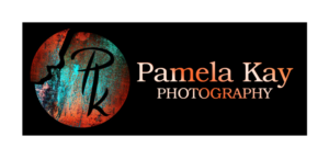 Logo Design by DestinedDesigns