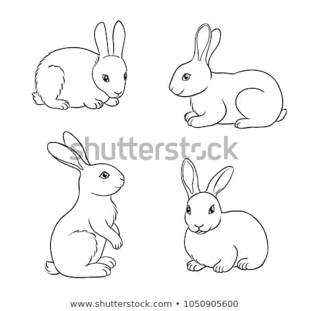 Graphic Design by farins88 for this project | Design #20713745