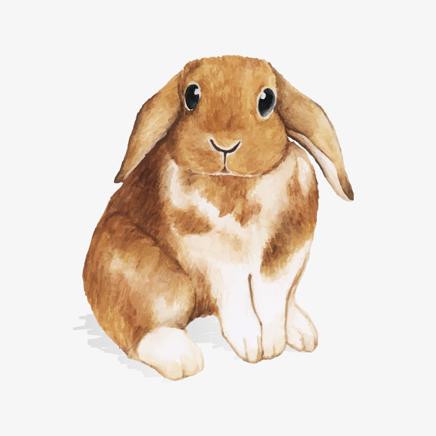 Graphic Design by Femi Farins for this project | Design #20713825