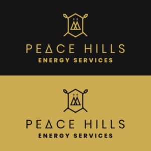 Logo Design by naimgg