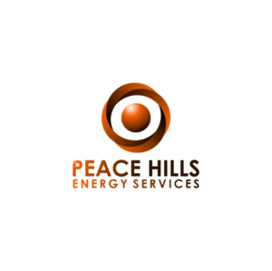 Logo Design by basain 2