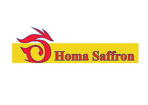 Logo Design by balachnadeem7
