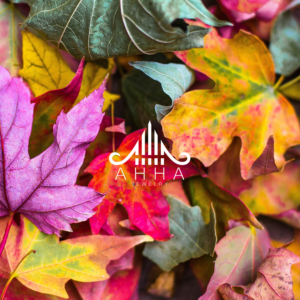 Logo Design by drawdreams13 for this project | Design: #20766270