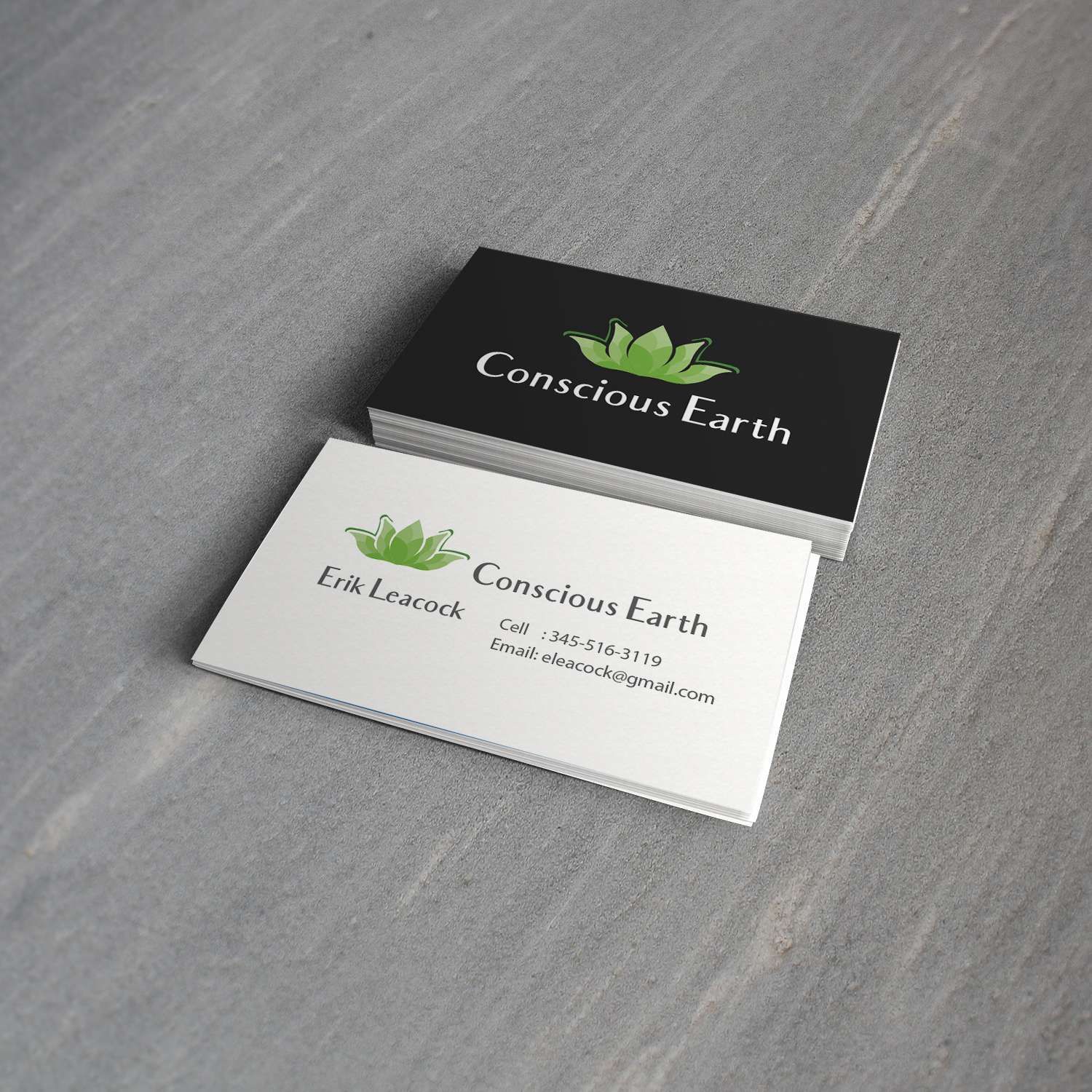Business Card Design by MTu for Moringa Mission | Design #20728039