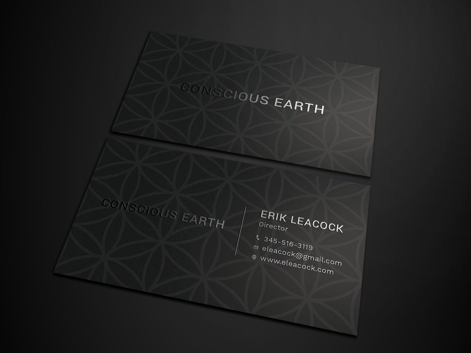 Business Card Design by Tripti Ranjan Gain for Moringa Mission | Design #20731330