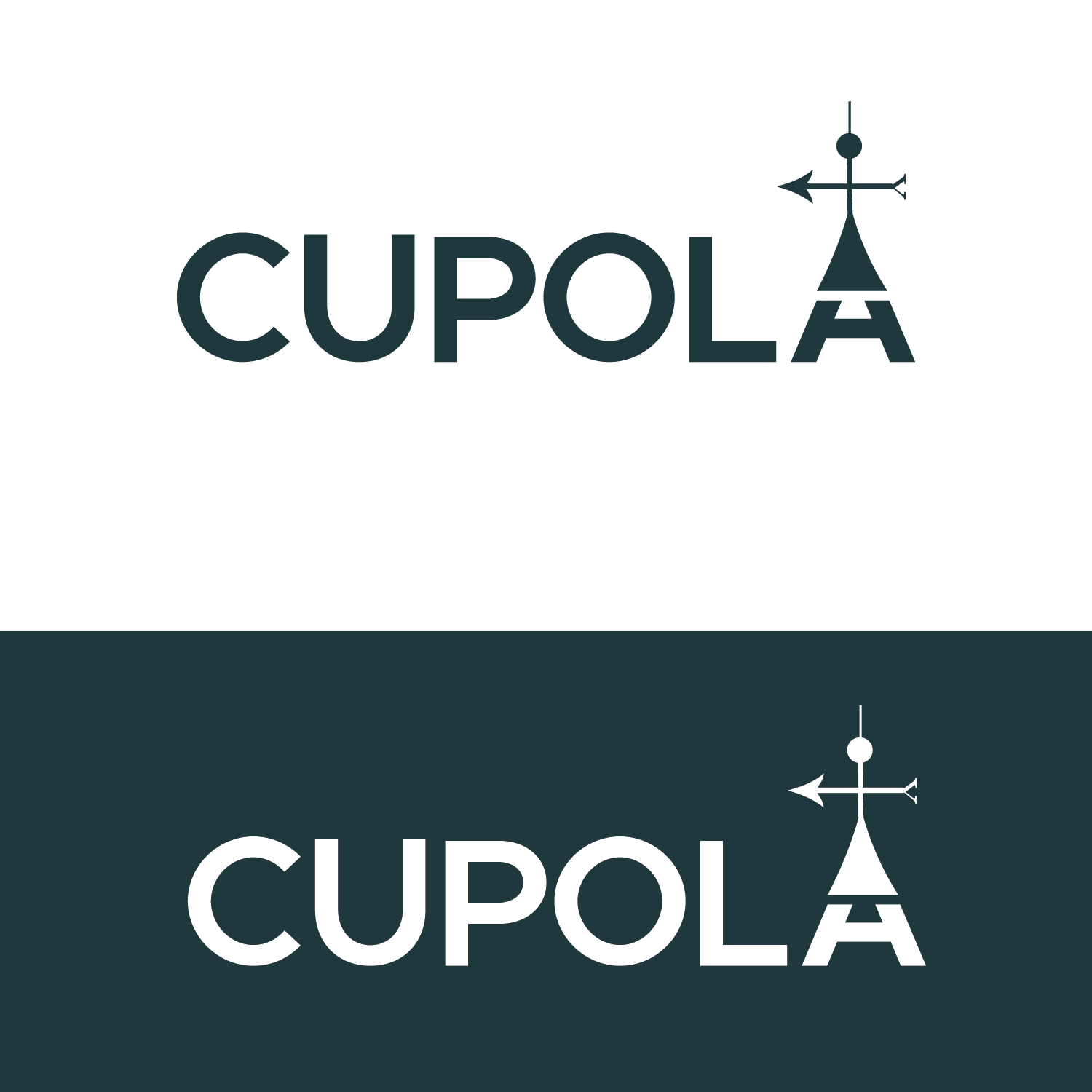 Logo Design by Pv_999 for this project | Design #20824868