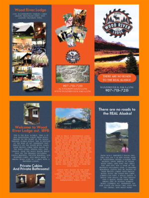 Diseño de Flyer por ColorDrops para este proyecto | Diseño: #20826442