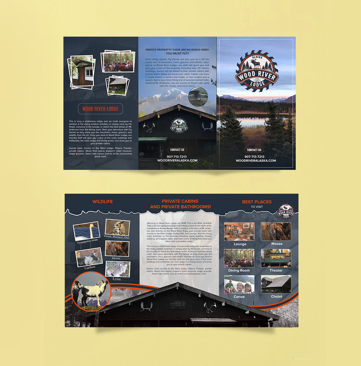 Flyer Design by creative.bugs for this project | Design #20817545