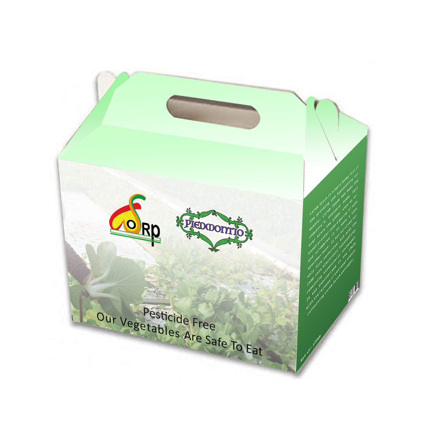 Packaging Design by Creative Jiniya for this project | Design #20749536