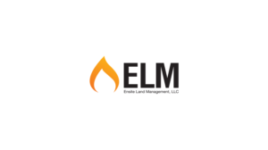 Logo Design by FAMous_Designs for EnSite Land Management, LLC | Design: #20740831