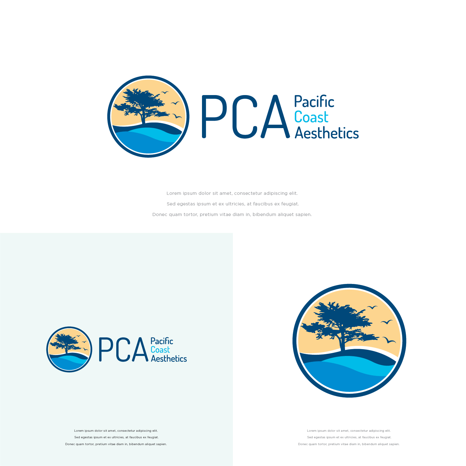 Design de Logo par designbysy pour Pacific Coast Aesthetics | Design #20809787