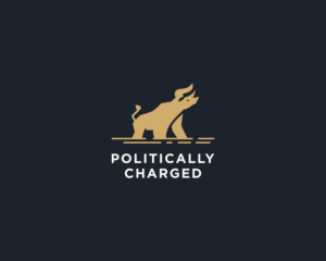 Diseño de Logo por Admira Graphics para este proyecto | Diseño: #20754479