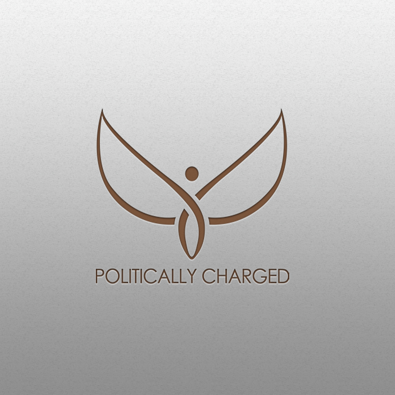 Logo Design by Hussain kareem for this project | Design #20787490