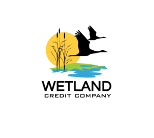 Logo Design by Mstudios-Chris
