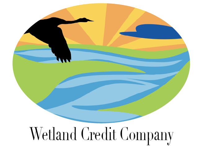 Diseño de Logo por Hailey Noel P para Solar Foresight | Diseño #20762283