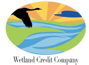 Logo Design by Hailey Noel P for Solar Foresight | Design #20762283