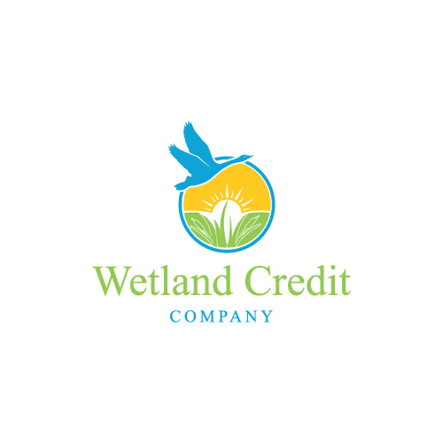 Logo Design by M S H for Solar Foresight | Design #20764116