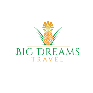 Big Dreams Travel    