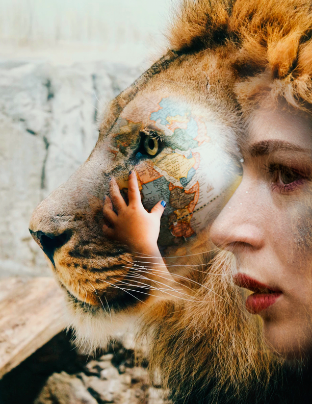 Book Cover Design by BCN Book Cover &amp; Logo Studio for this project | Design #20823602