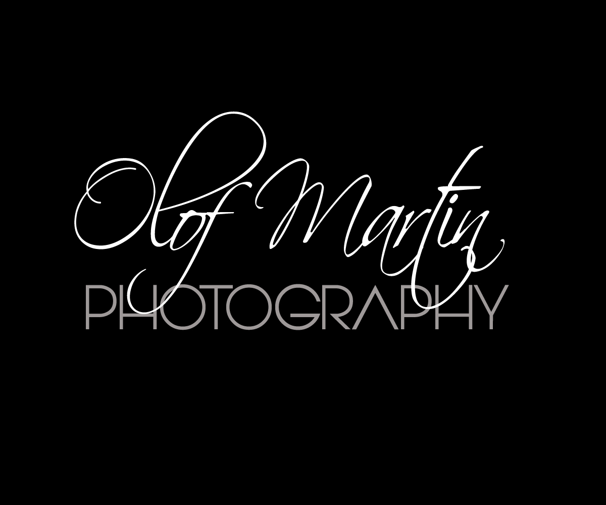 Logo Design by edirectoryprogram for this project | Design #20824724