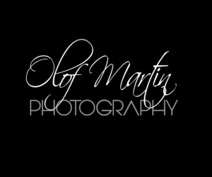 Logo Design by edirectoryprogram for this project | Design: #20824724