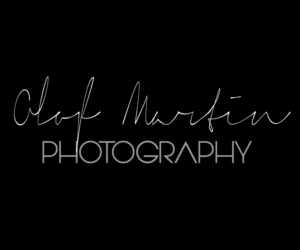 Logo Design by edirectoryprogram for this project | Design: #20828272