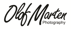 Logo Design by Creative Guru