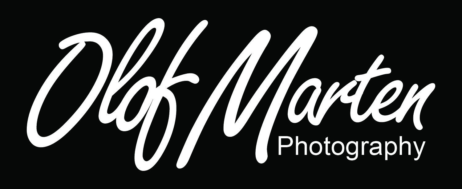 Logo Design by Creative Guru for this project | Design #20784934