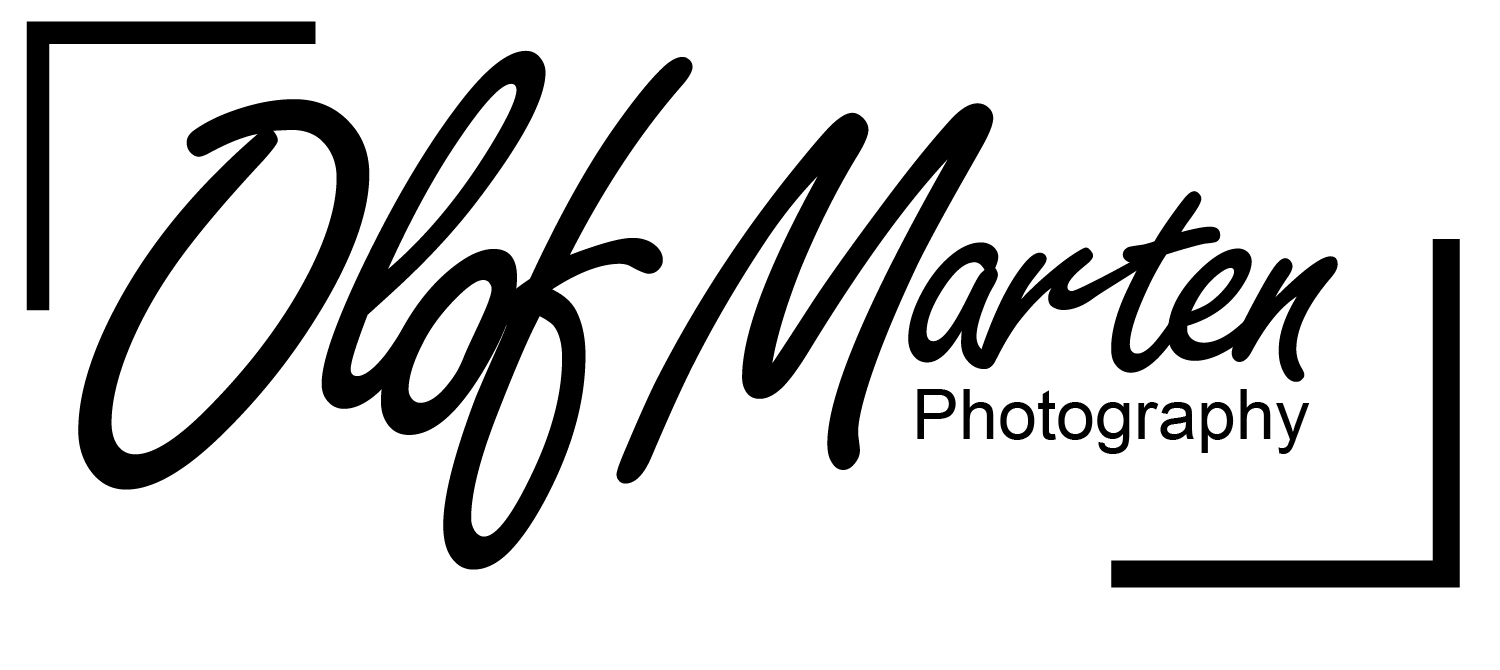 Logo Design by Creative Guru for this project | Design #20784935