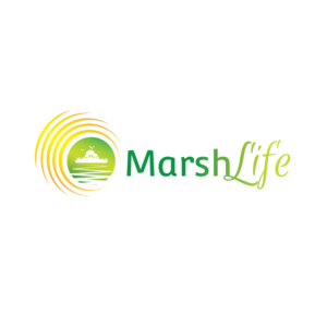Marsh Life | Logo Design by rozT
