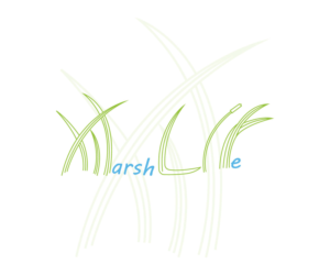 Logo Design by Awesomelogician