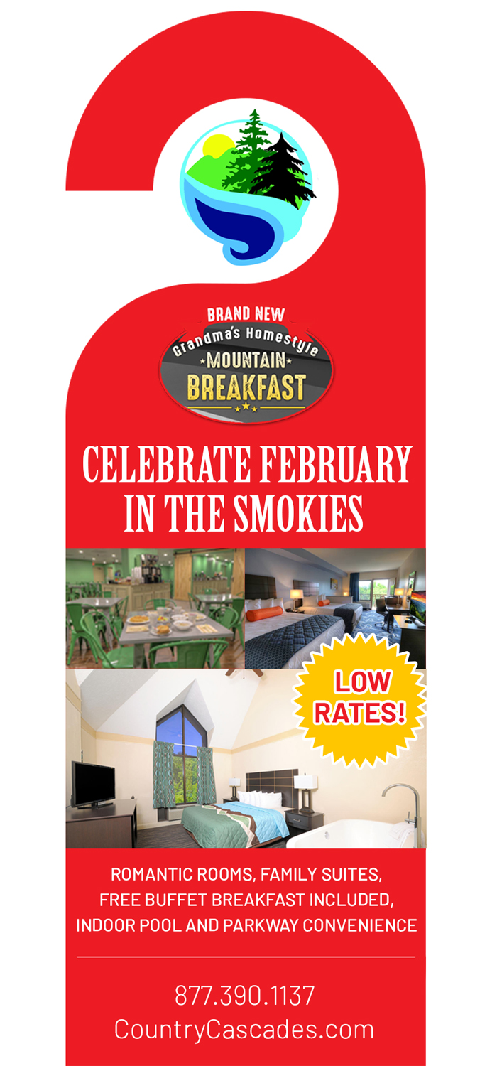 Design de Marketing Électronique par Best Design Hub pour Smoky Mountain Resorts | Design #20790530