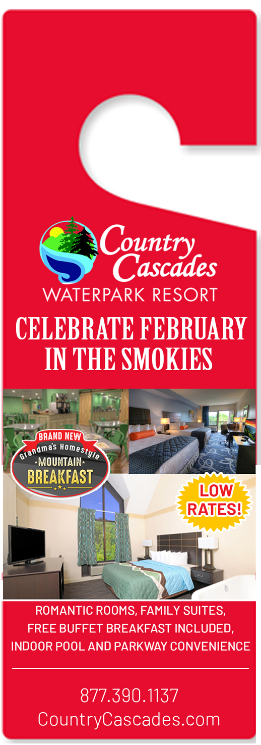 Email Marketing Design by Best Design Hub for Smoky Mountain Resorts | Design #20790572
