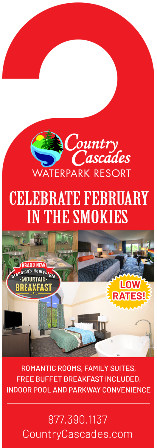 Email Marketing Design by Best Design Hub for Smoky Mountain Resorts | Design #20834494