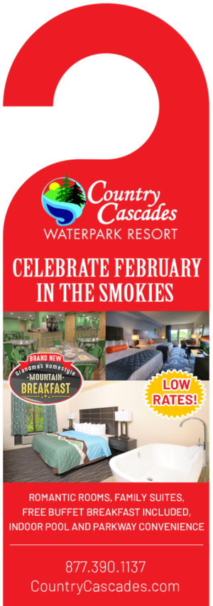 E-Mail Marketing-Design von Best Design Hub für Smoky Mountain Resorts | Design: #20841385
