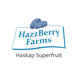 Logo Design by GeorgeStudio