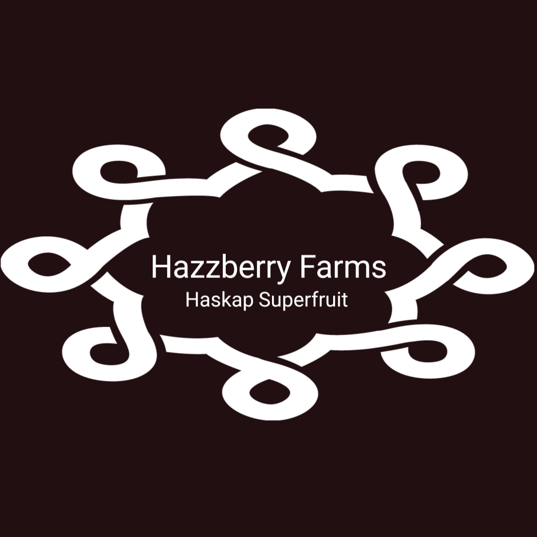 Logo Design by F12 for this project | Design #20789296