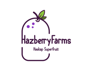 Logo Design by DRN Design