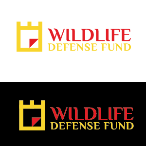 Logo Design by Pv_999 for WIDEFUND | Design: #20869577