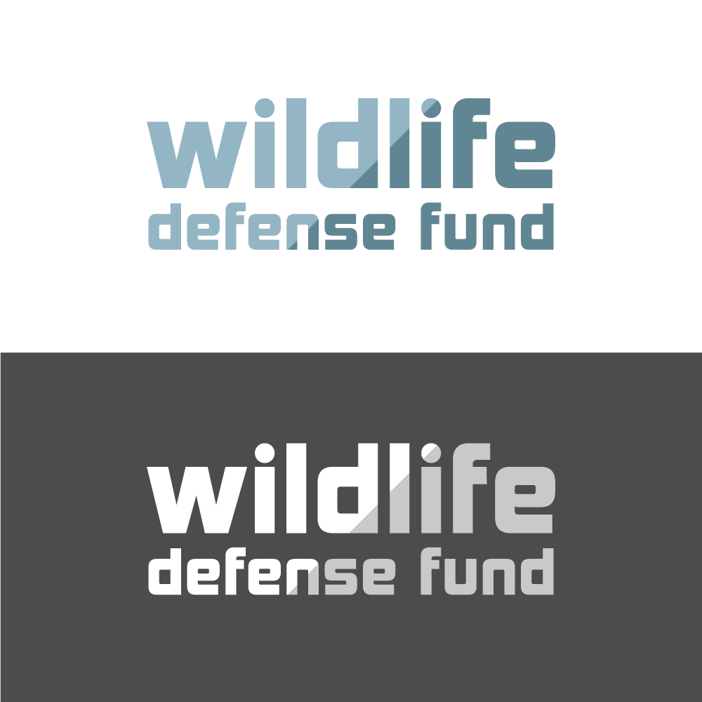 Logo Design by Jezepi for WIDEFUND | Design #20821861